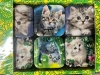 Др Монпасье Бонбоньерка (Котята)  60гр*20шт /Барнаул, Алтай/