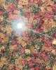 Кар Монпасье в сахаре 3кг /Хмызов/